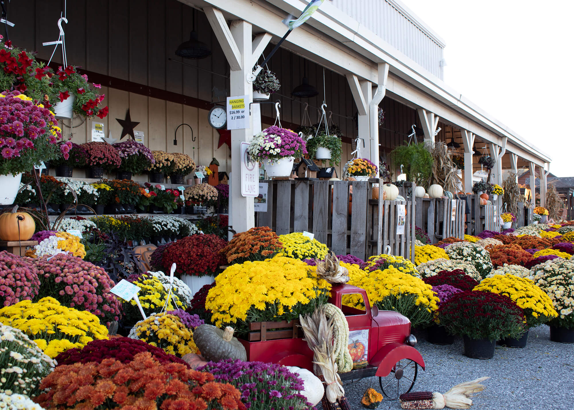 fresh flowers on displays outside of the markets at shrewsbury