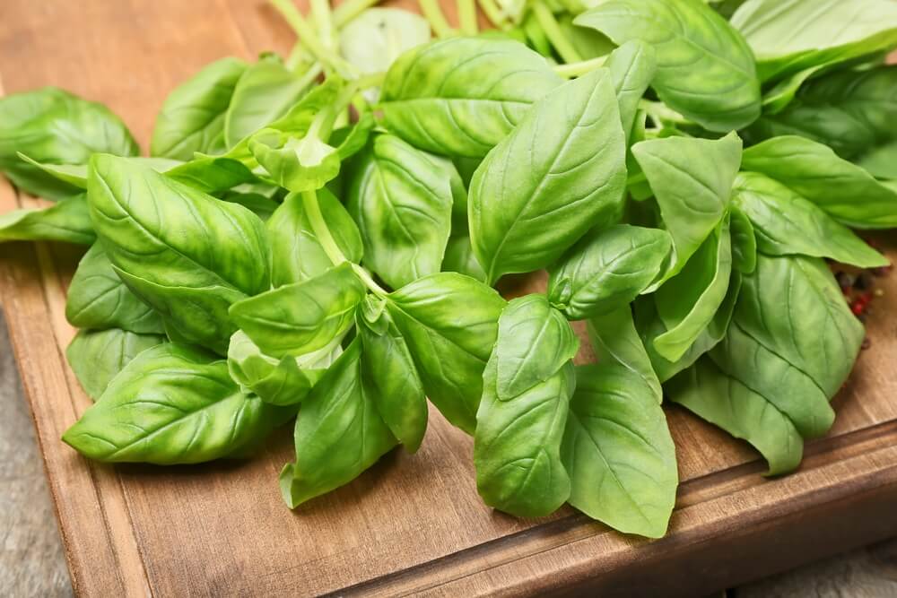 a bunch of fresh basil leaves sitting on a wooden cutting board