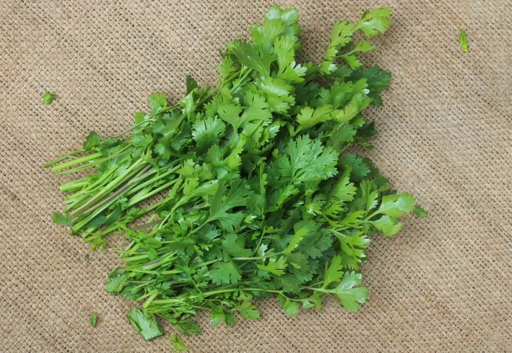 fresh cilantro leaves sitting on a wooden cutting board