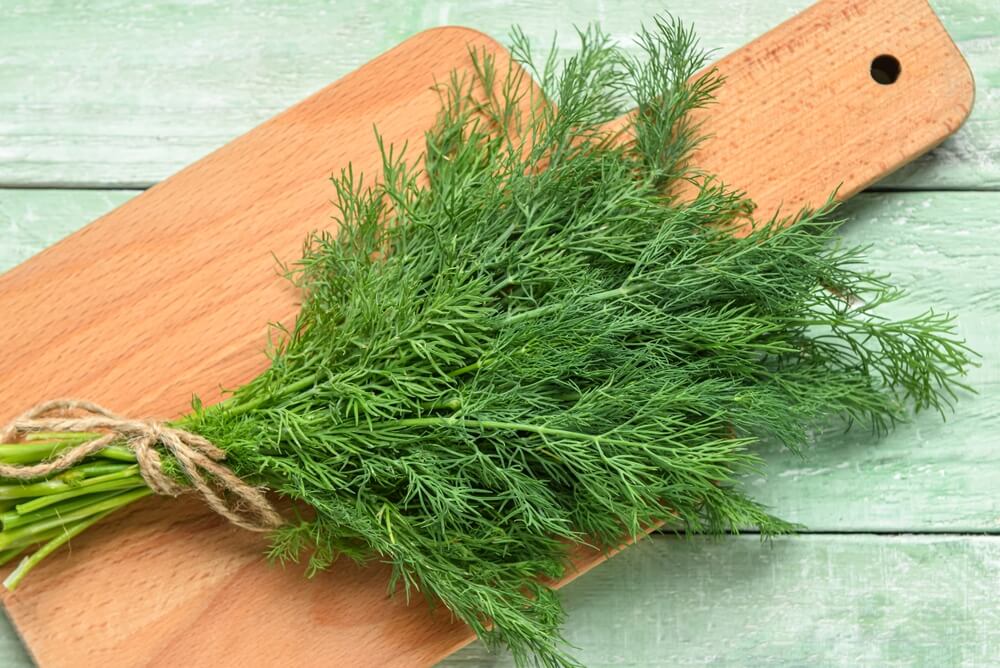 a bundle of fresh dill that's tied together with cooking twine and sitting on a wooden cutting board