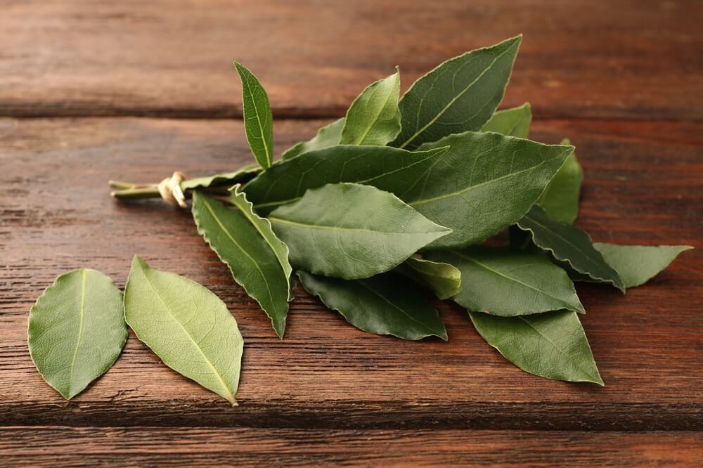 close up of fresh bay leaves sitting on a wooden countertop