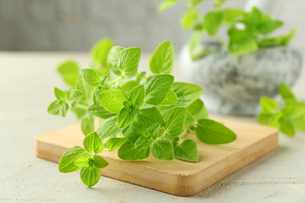 fresh oregano leaves sitting on a wooden cutting board