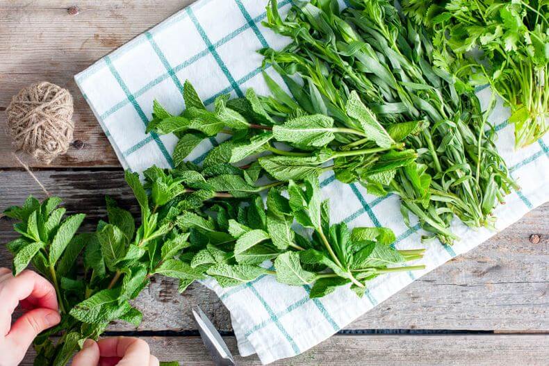 How to Harvest, Dry, & Store Herbs From the Garden